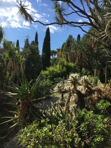 Hanbury Gardens/Ventimiglia