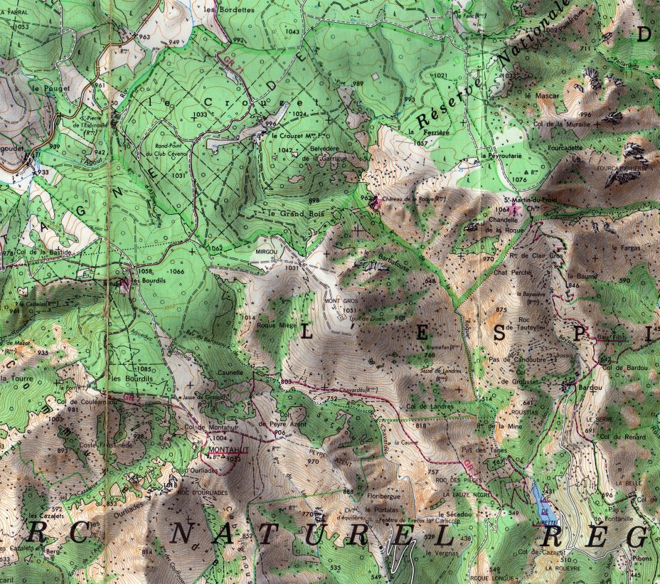 Kartenausschnitt um den Mont Gros