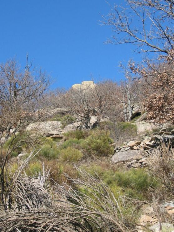 Im Aufstieg zu den Bergerien "quer durchs Gelämde". Wenn man diesen Felsen über sich erblickt, hat man einen guten Anhaltspunkt: etwas rechts über dem Felsen befinden sich die beiden Ruinen.